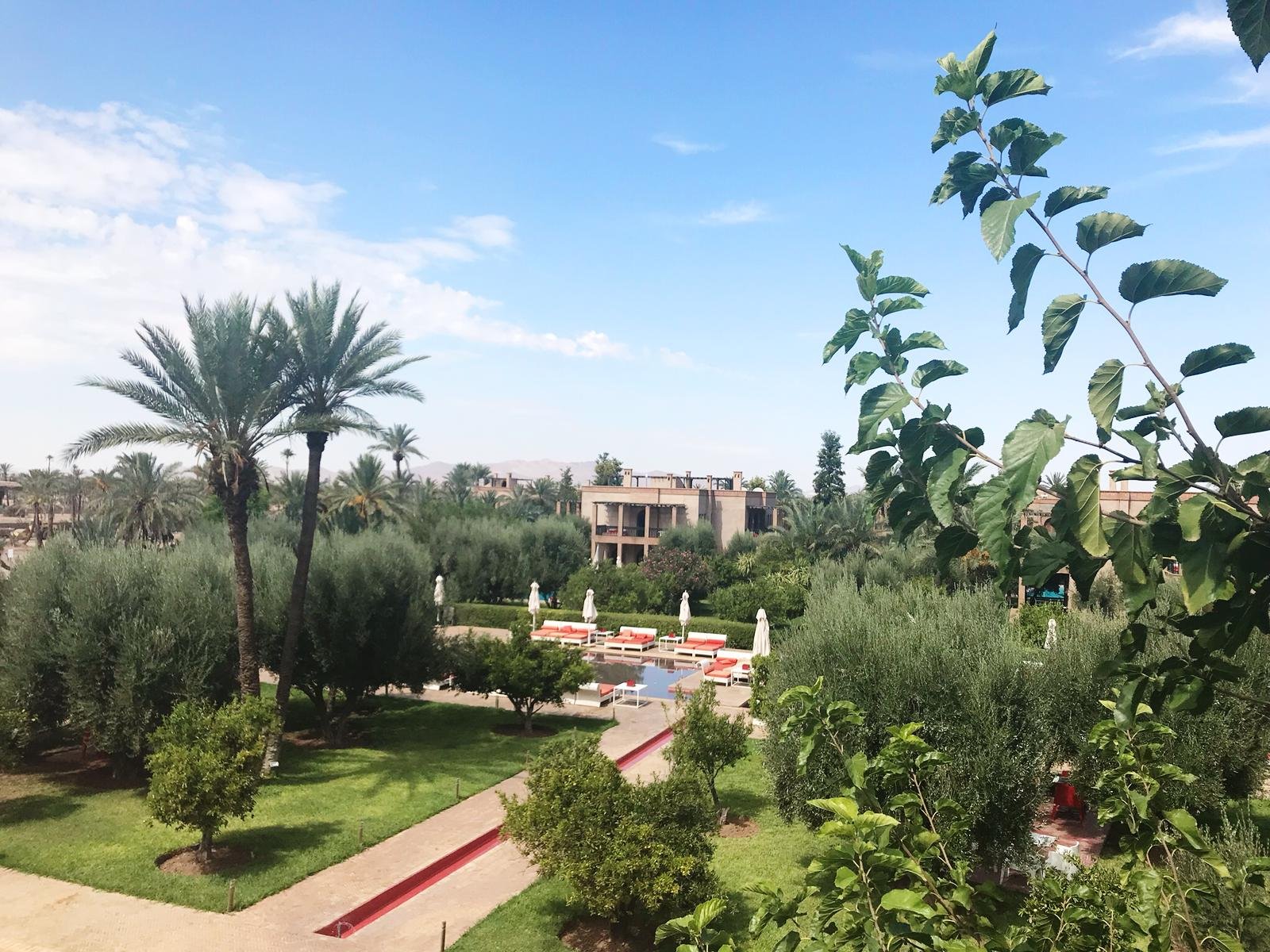 Jardin - Palmiers - Murano Resort Marrakech - Maroc